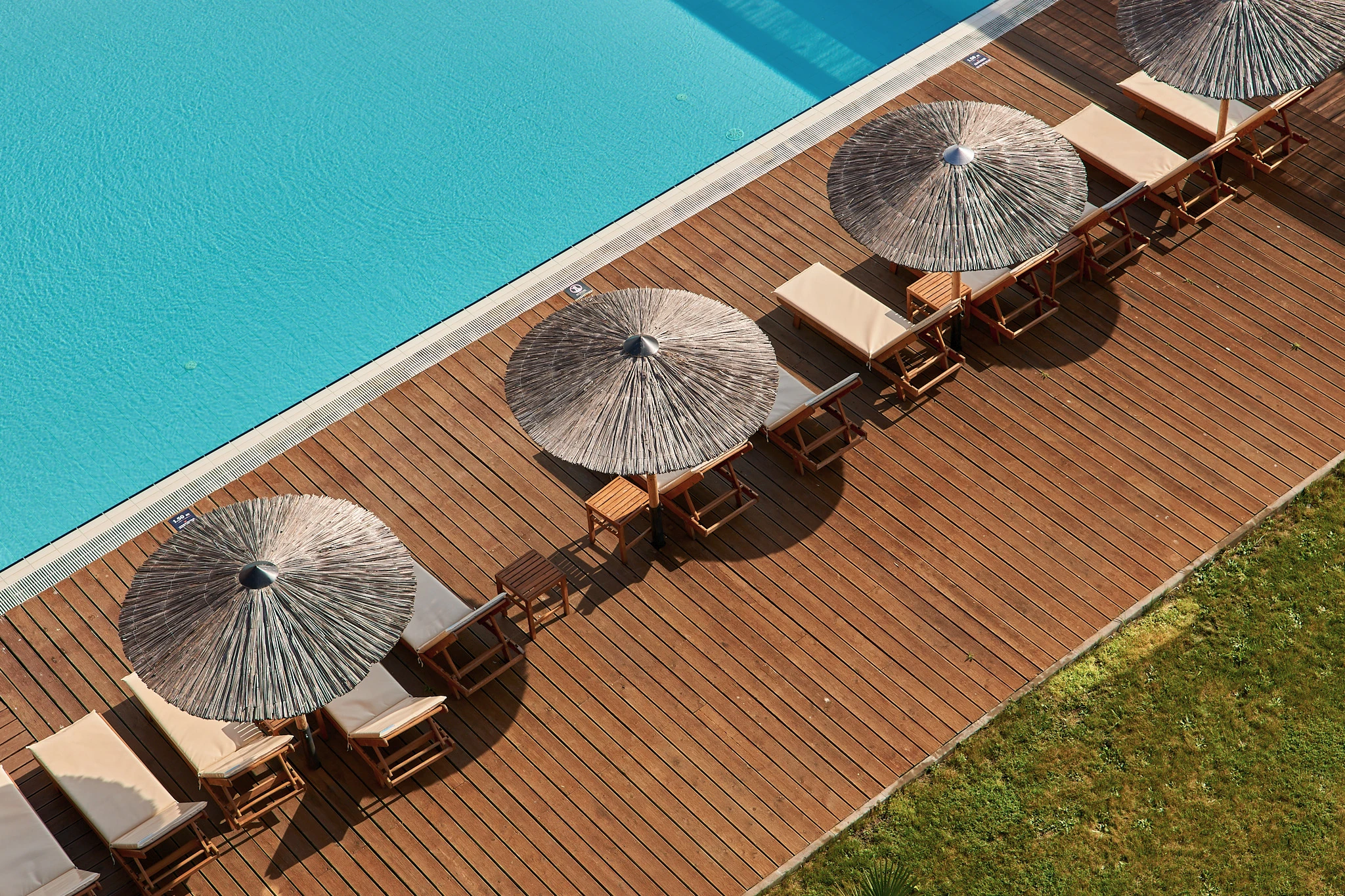 Special Offer: -25%